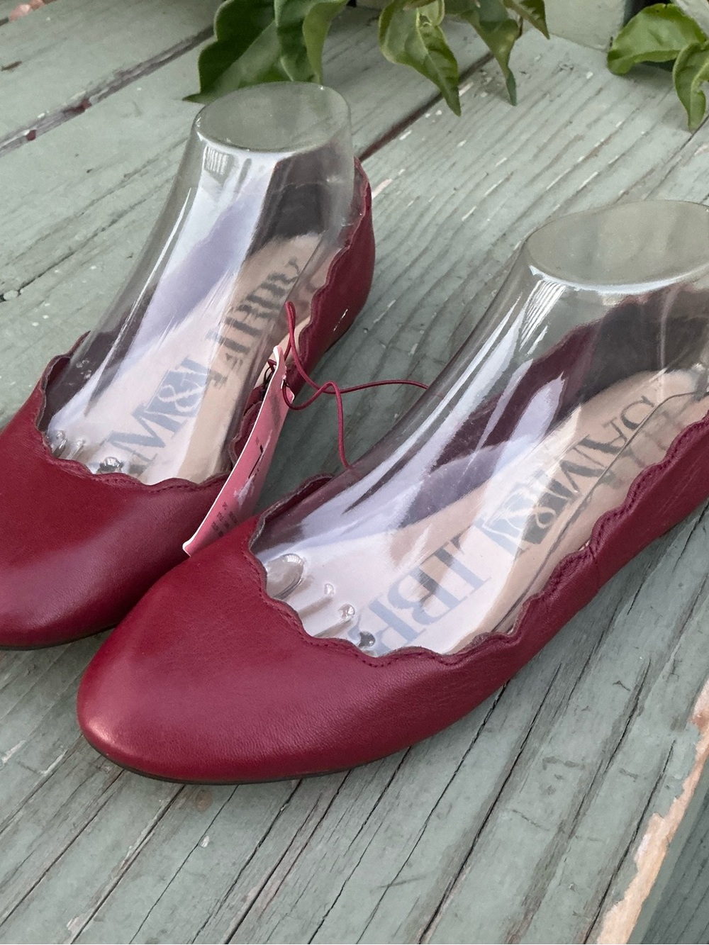 Sam & Libby Women's Scalloped Ballet Flats - Burgundy